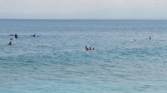 Balangan Beach で ドッグサーフィンを見る @ Balangan (\'17年4月)_d0368045_6172047.jpg