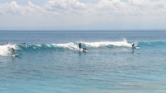 Balangan Beach で ドッグサーフィンを見る @ Balangan (\'17年4月)_d0368045_6203913.jpg