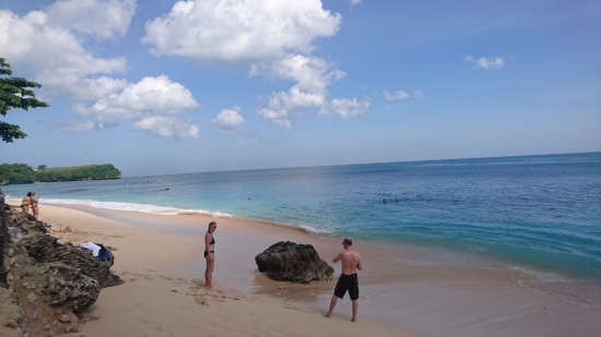 Balangan Beach で ドッグサーフィンを見る @ Balangan (\'17年4月)_d0368045_64274.jpg