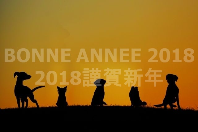 【賀正】Excellente annee 2018 !_a0016148_20244058.jpg