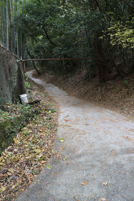 f0395158_17491167.jpg