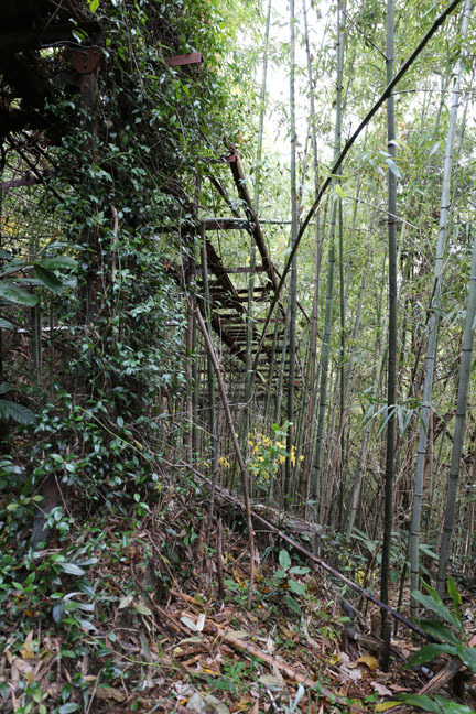 f0395158_17491290.jpg