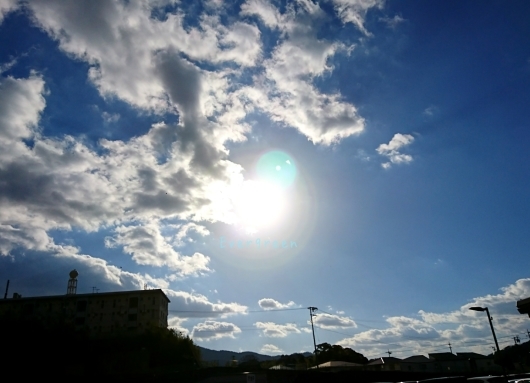 d0362666_21575668.jpg