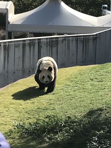 新年あけましておめでとうございます。_c0355169_11324475.jpg