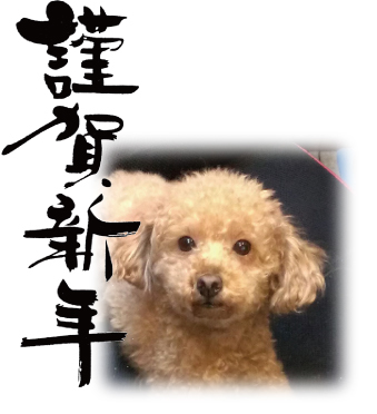 あけましておめでとうございます。_f0166070_07270091.jpg