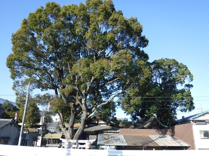 f0238779_20394174.jpg