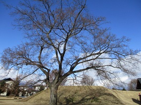 f0007580_23424693.jpg