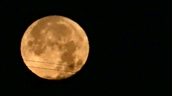 a0198883_23063550.jpg