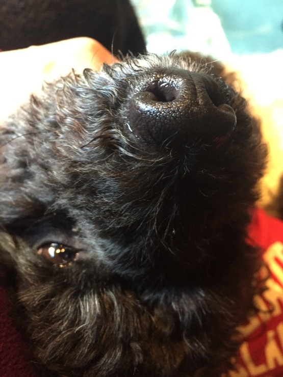 b0098584_21292158.jpeg