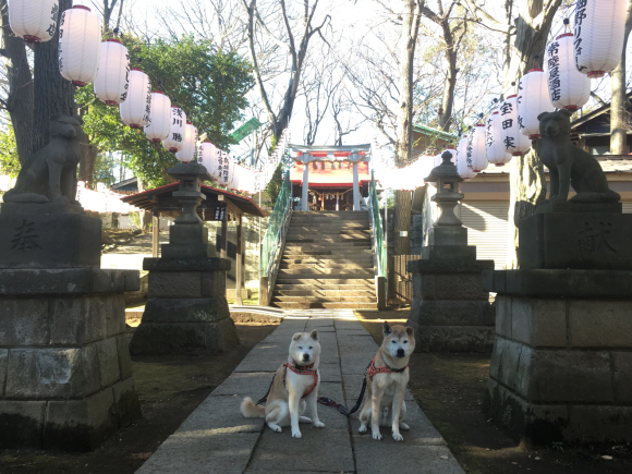 戌年 初カフェ_c0123890_11501892.jpg