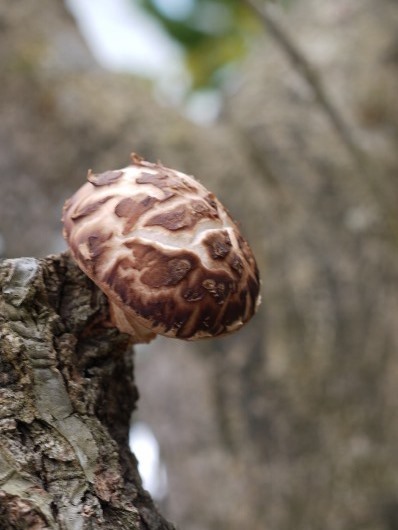 e0167795_14264900.jpg