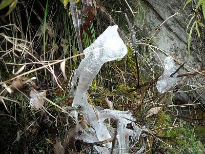 f0308898_16280106.jpg
