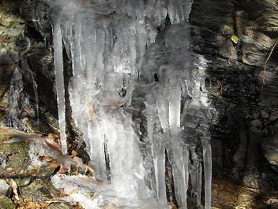 f0308898_16322437.jpg