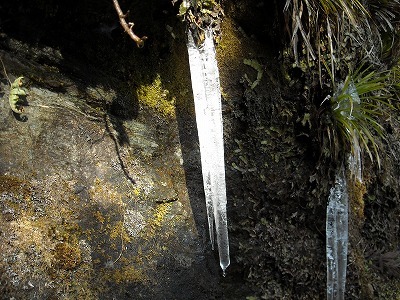 f0308898_16361246.jpg