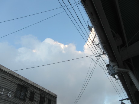 a0203003_16532553.jpg