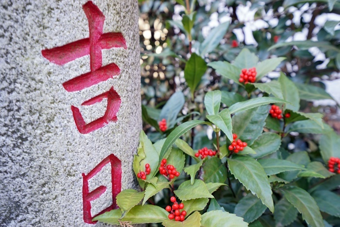今年もよろしくお願いします。_c0187503_17422633.jpg