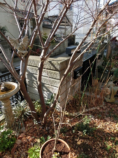 e0234004_16380300.jpg
