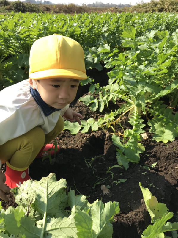 2018年あけましておめでとうございます！_c0323807_07295131.jpg