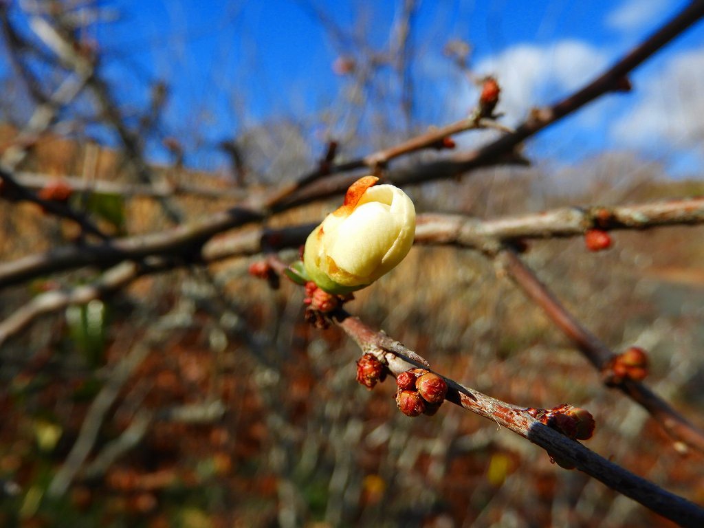 e0372207_20102266.jpg