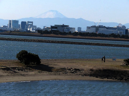 葛西臨海公園で富士山_e0255509_1833106.jpg