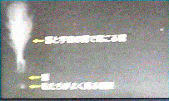 f0231709_03015533.gif
