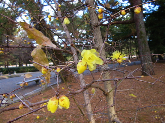 a0164011_21161833.jpg