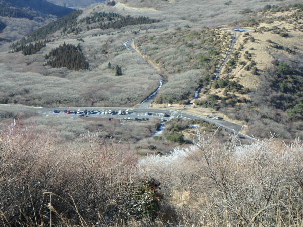 d0198313_00010988.jpg