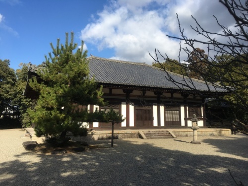 2018年 お正月_c0077615_22153037.jpeg