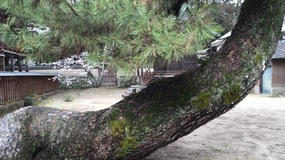 b0325317_11495007.jpeg