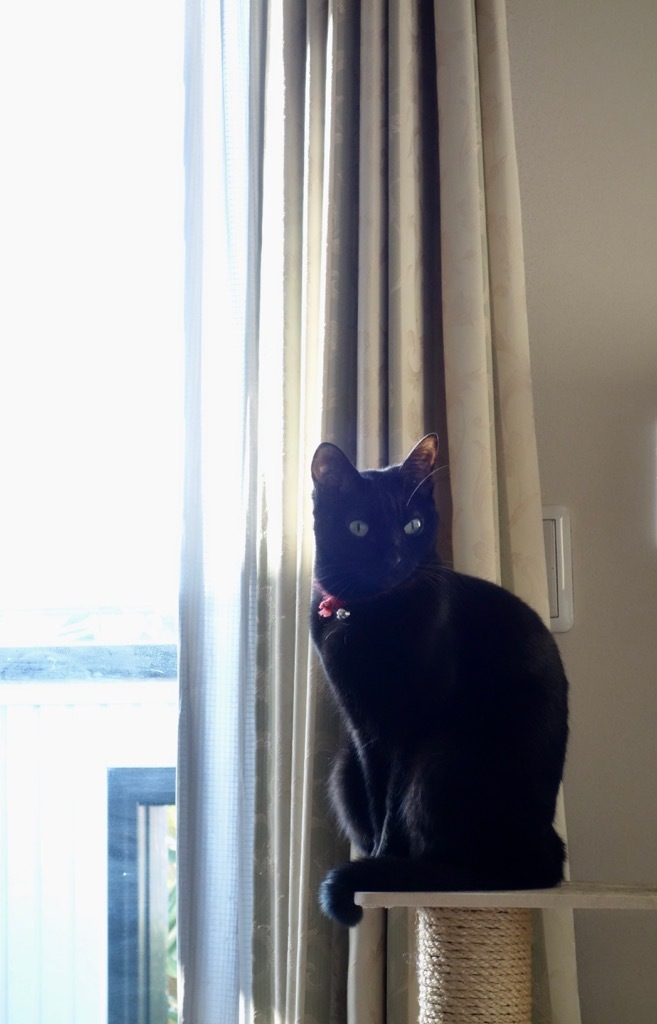 e0077517_14353841.jpeg