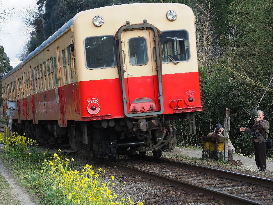 ＊ 小湊鉄道の夜桜を撮ろう_b0204819_15450404.jpg