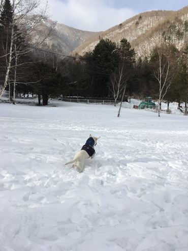 c0114121_2352256.jpg
