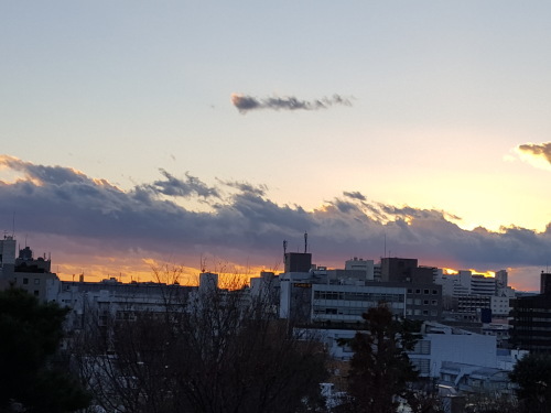 e0016828_10343483.jpg