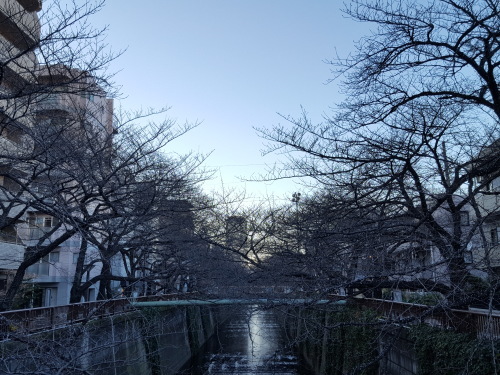e0016828_10400417.jpg