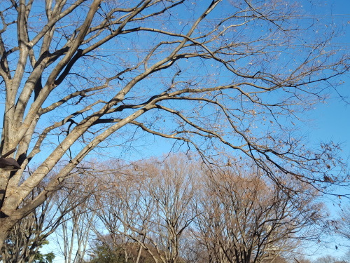 e0016828_10421639.jpg