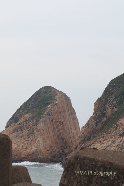 c0024729_20231311.jpg