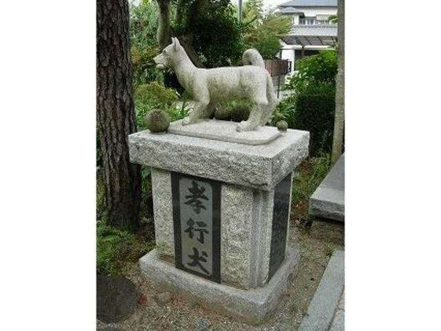 三島市の孝行犬の逸話を絵本に_e0033229_1951968.jpg