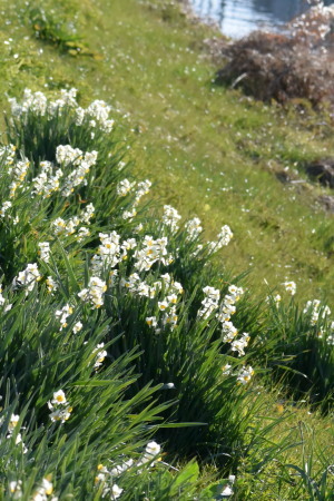 c0353632_13471145.jpg