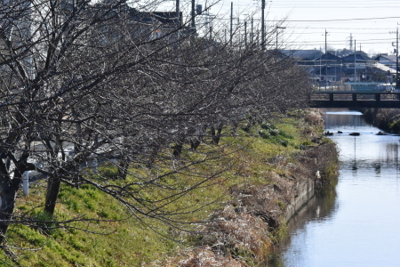 c0353632_15142140.jpg