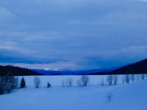 a0329935_17430114.jpeg