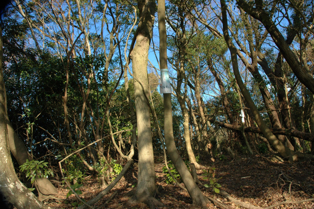 e0272335_17291243.jpg
