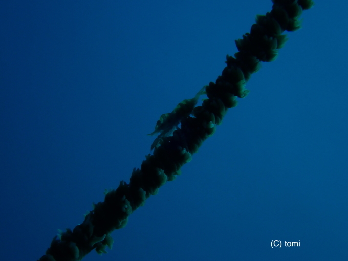 b0163039_16443483.jpg