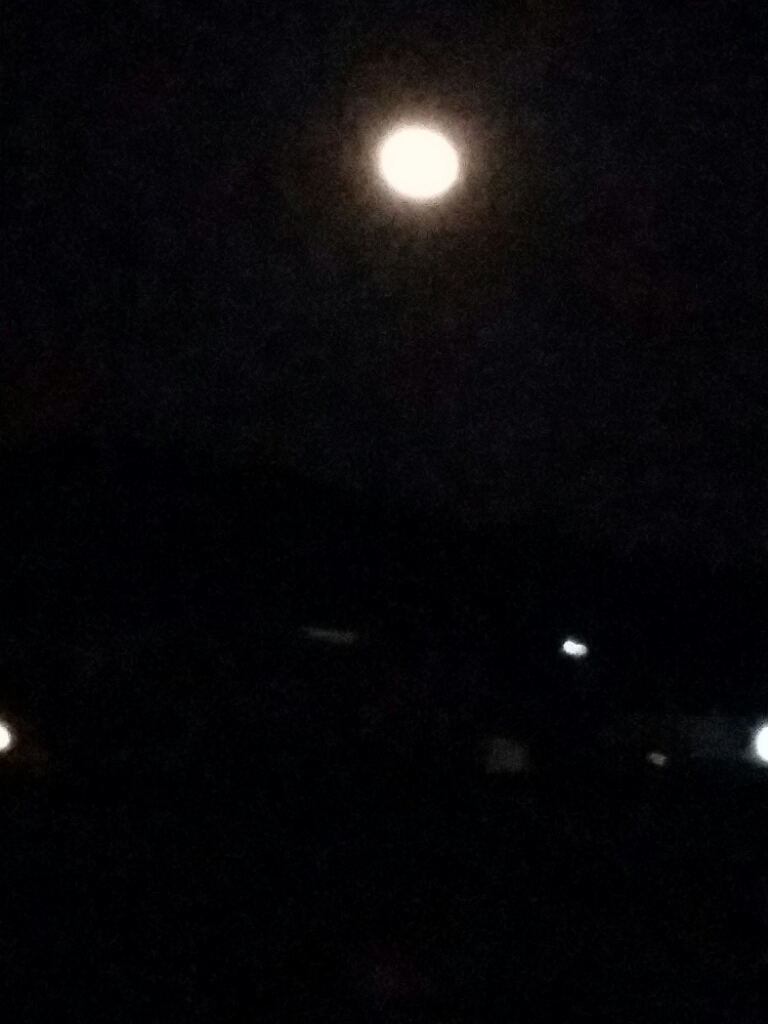 c0295742_22342190.jpg