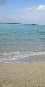 c0225143_15383507.jpg