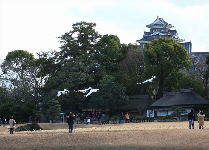 岡山後楽園　①_a0256349_202384.jpg