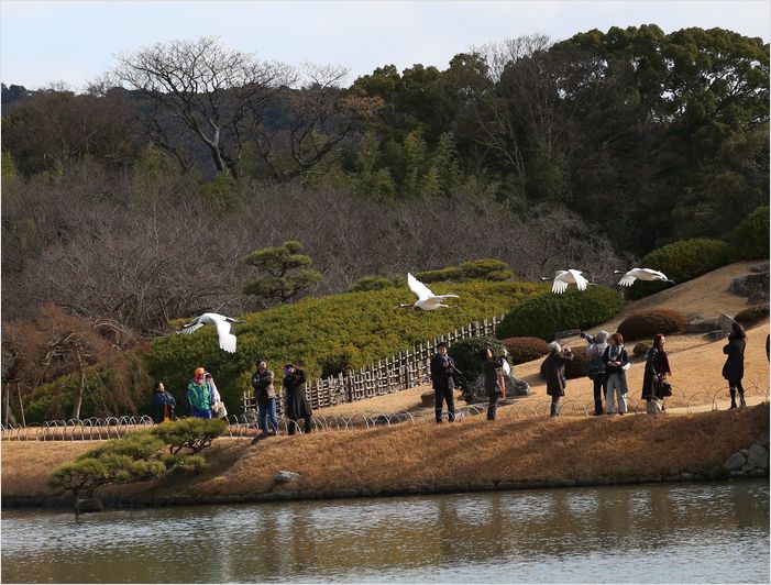 岡山後楽園　①_a0256349_2034124.jpg