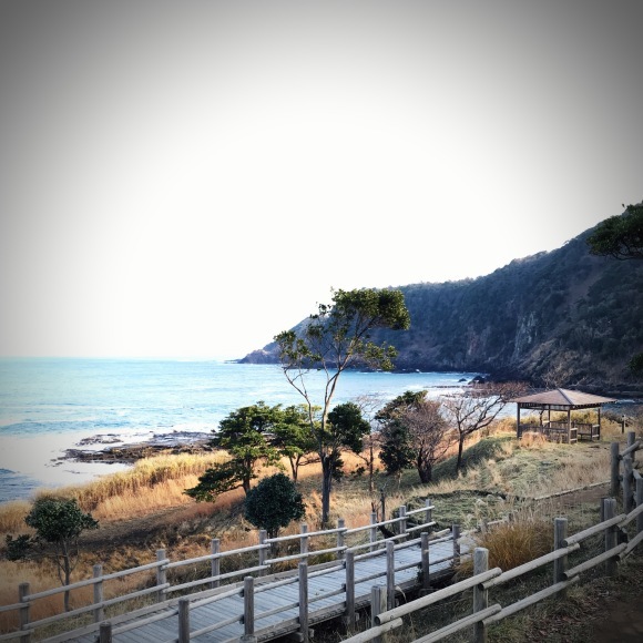 c0312349_09114897.jpeg