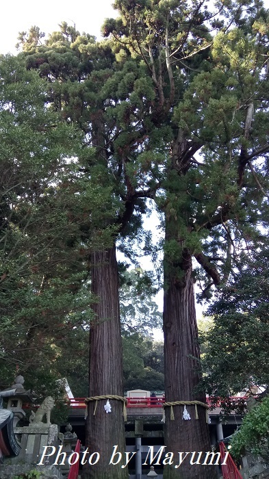 c0206352_21385475.jpg
