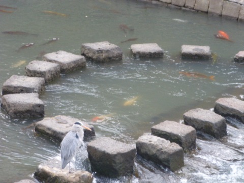 長崎(川原・諫早)行き写真集(4)_f0197754_17263086.jpg