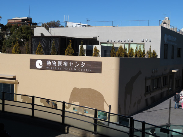 e0086860_17102816.jpg